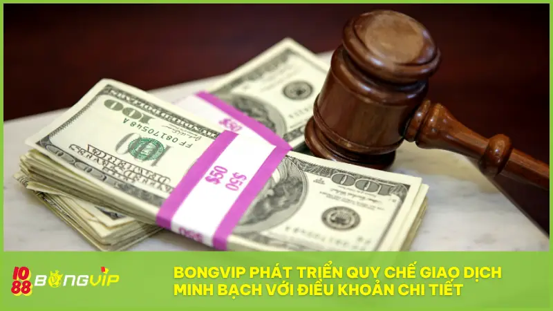 Điều khoản BONGVIP - Bản cam kết vàng để chơi công bằng 3 BONGVIP đã phát triển quy chế giao dịch minh bạch với hệ thống điều khoản chi tiết
